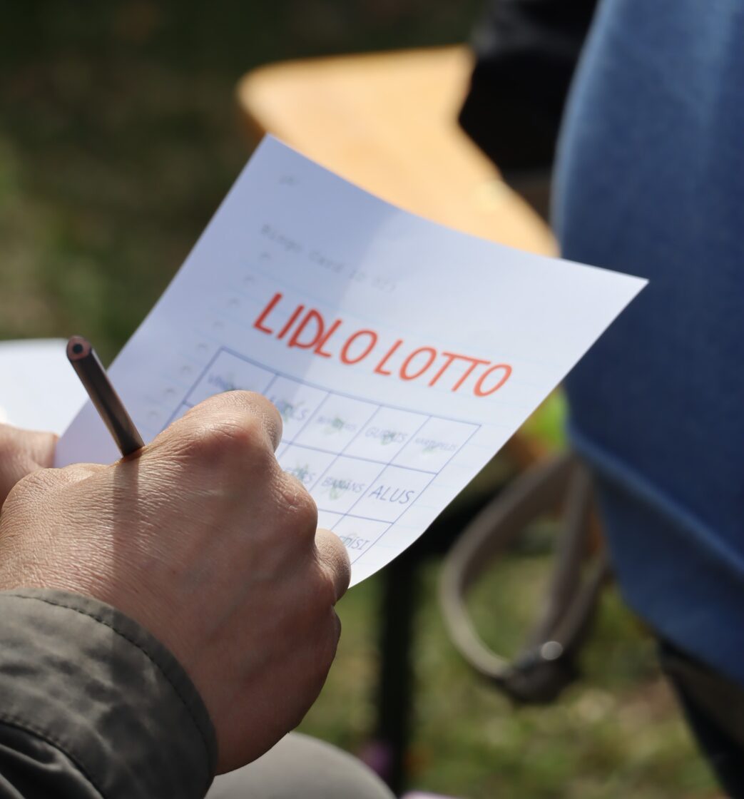 lotto.JPG